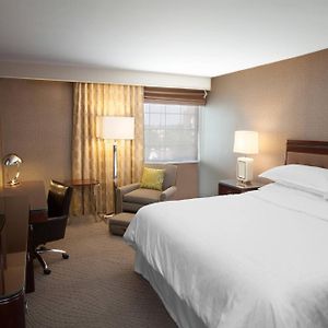 Club King Room