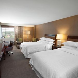 Club Double Room